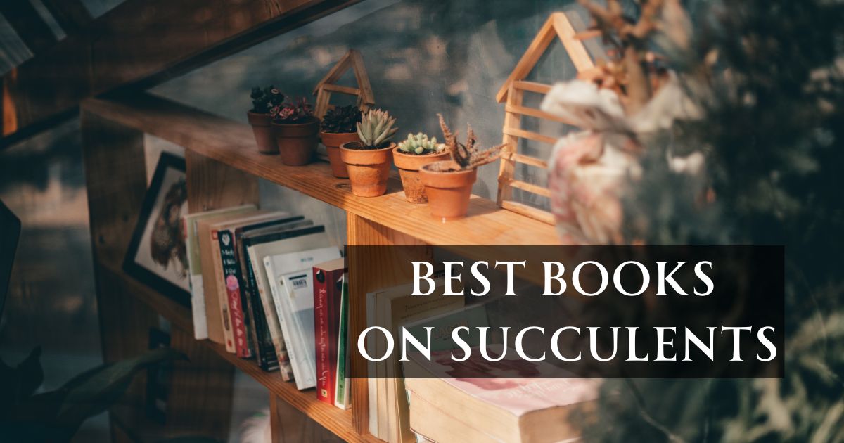 Best Books On Succulents: Top Picks for 2023
