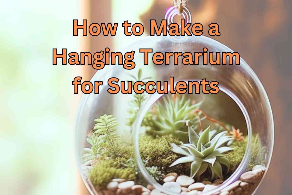 How to Make a Hanging Terrarium for Succulents: Step-by-Step Guide