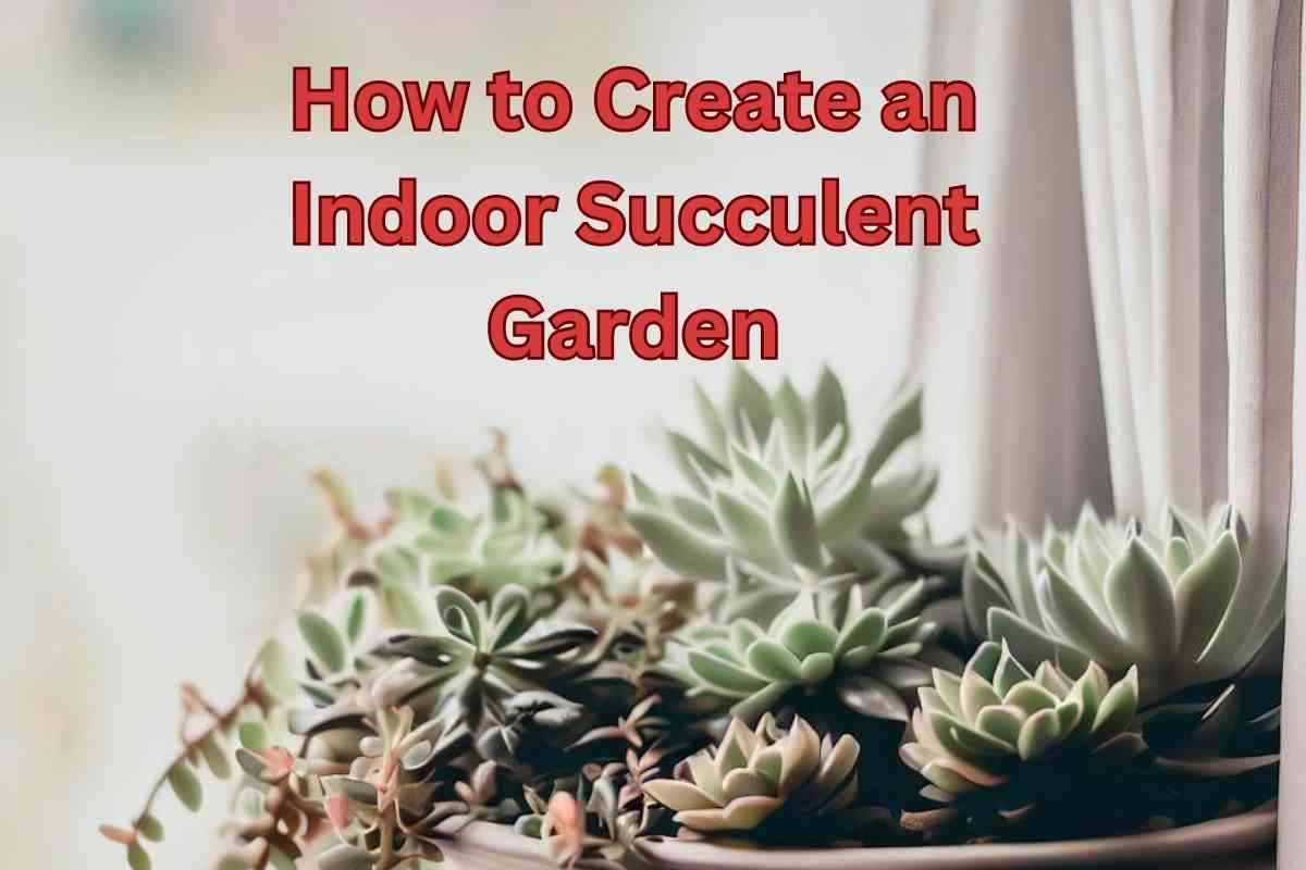 How to Create an Indoor Succulent Garden: A Step-by-Step Guide