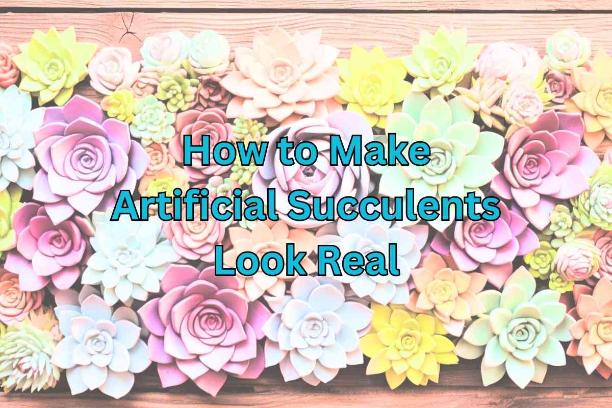 How to Make Artificial Succulents Look Real: Tips and Tricks